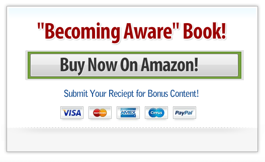 Becoming Aware Book